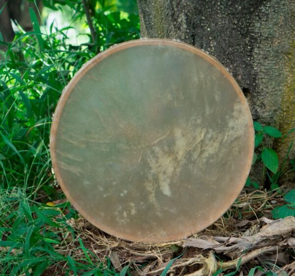 American Shamanic Native Drum Bison Natural Hide