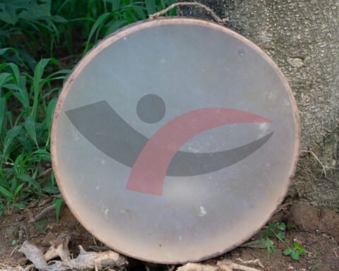 American Shamanic Ceremonial Hand Drum Double Side Bison Hide