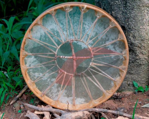 American Shamanic Native Drum Bison Natural Hide