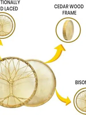 61+8A0uaSsL._AC_SX569_