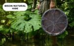 ARAW American Shamanic Native Drum Bison Natural Hide