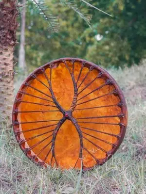 81BA6fRYbsL._AC_SL1500_