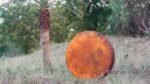 ARAW Native American Style Shaman Drum, Handcrafted Elk Rawhide, Crossed Lacing Design